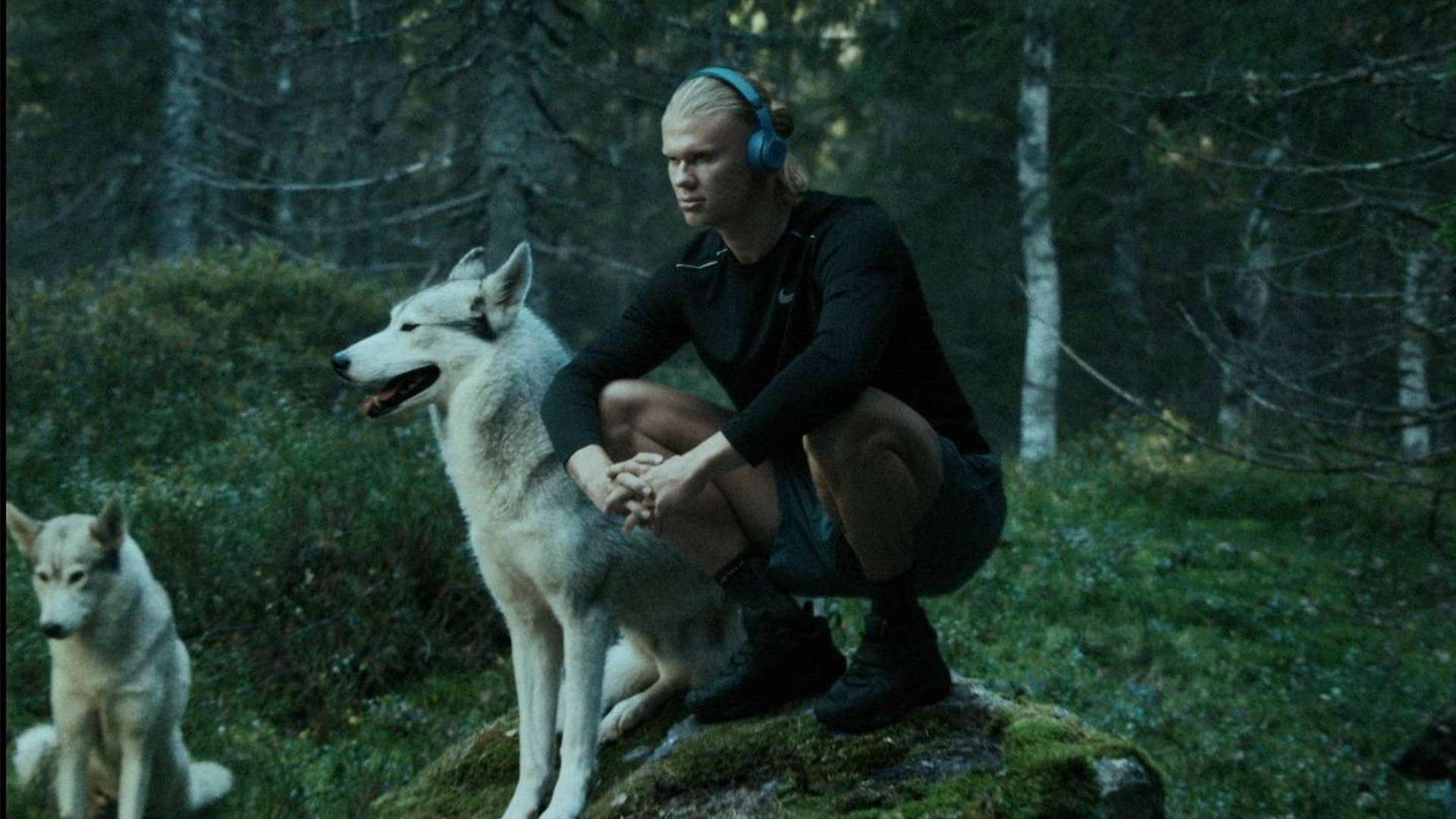 球队的控球 球队的控球